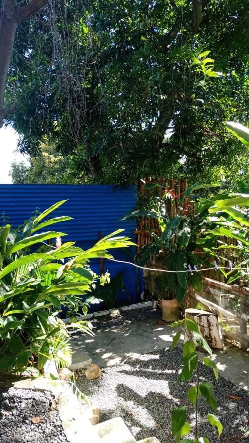 Meanwhile In Veracruz Exterior photo
